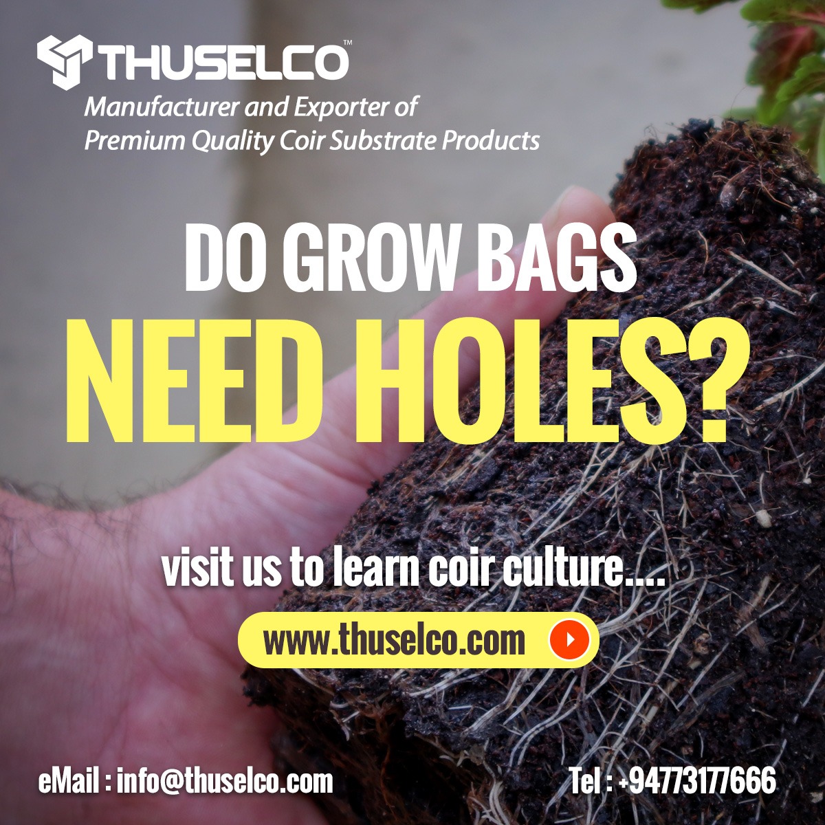 Coir Prodcuts Blog