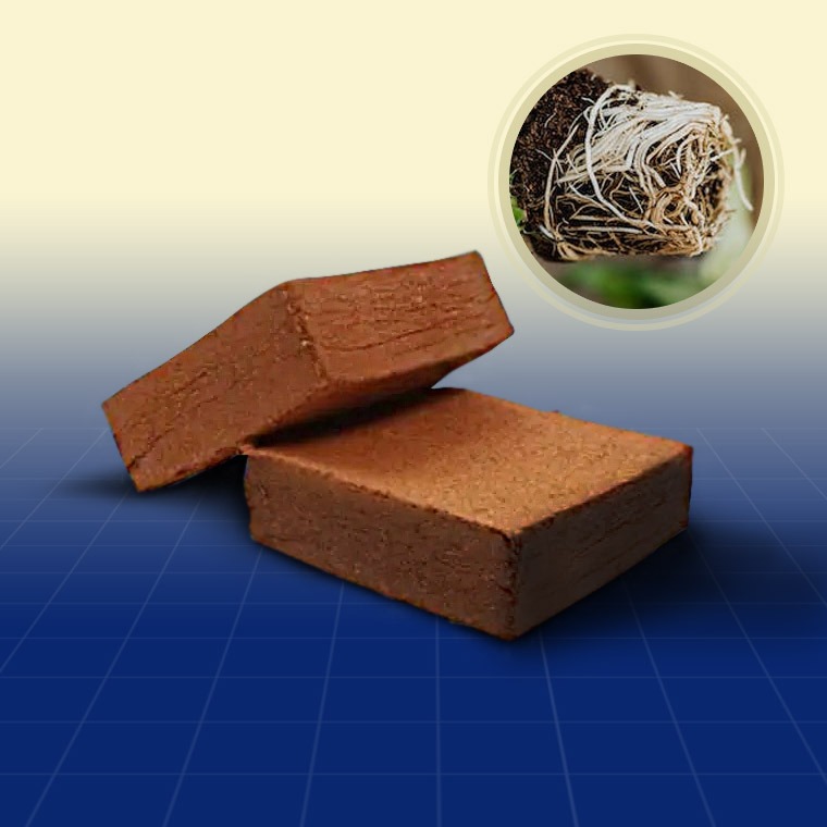 Coir Bales