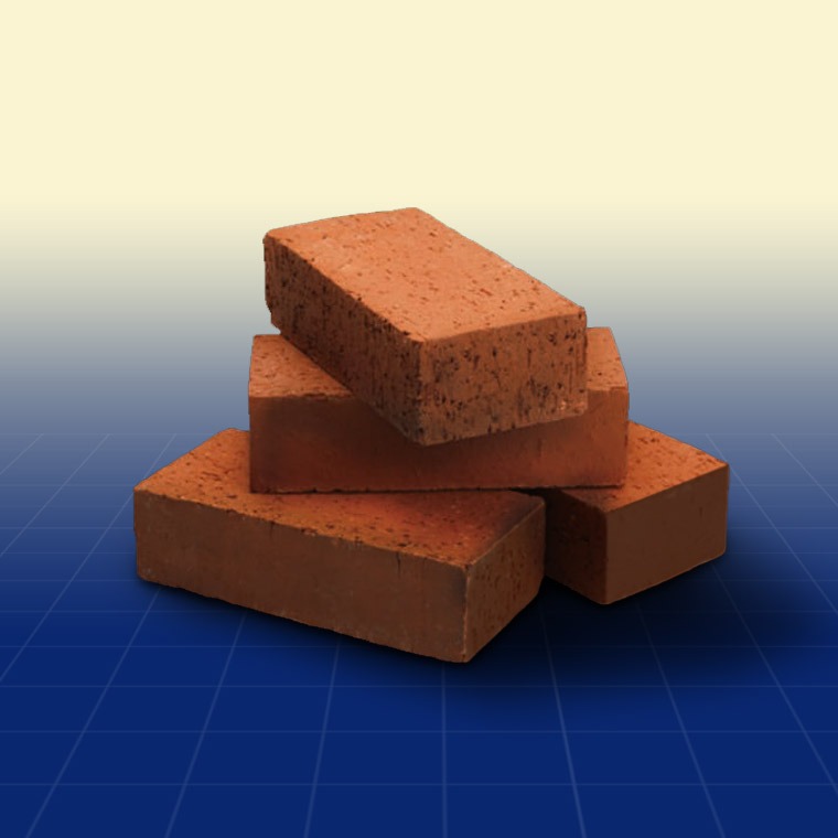 Coir Briquettes